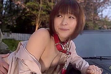 Public Sex Slave of Japan