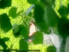 Pussy eating in public park