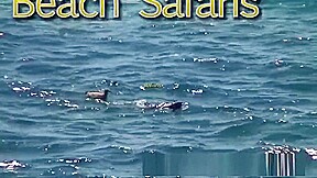 Rafians Beach Safaris 25