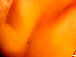 Real Amateur Porn Darkhaired Babe Masturbating And S