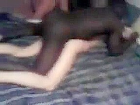 Real wife cheats fucking black cock