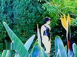 Retro Claudia Adkins And Lita Chase Lesbian Fun