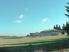 Sauerei Im Schweinestall 3