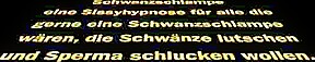 Schwanzs chlampe