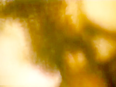 Seductive old porn from 1970 is here