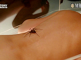 See The Craziest Anatomy Awards Nude Scenes - Mr Skin