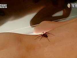 See The Craziest Anatomy Awards Nude Scenes - Mr Skin