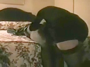 Sexy Asian wife meets black lover  Read, rate, comment