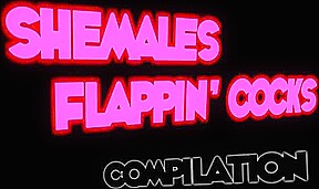 Shemales Flappin Cocks Compilation