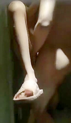 Skinny asian college girl fucked hard in shower