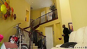 Smalltit Trans Missionary Breeded Before Riding Black Cock