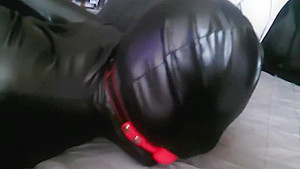 Stephany Zentai Bound