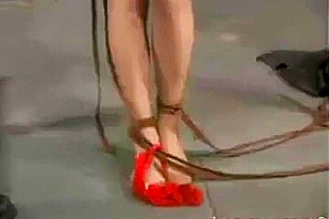 Strung Up Secretary - Insex