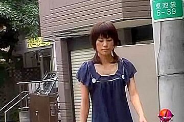 Sugary pig-tailed Asian cutie getting involved in some hot sharking action