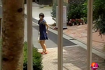 Sugary pig-tailed Asian cutie getting involved in some hot sharking action