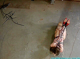 Terra Ziptied