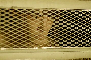 The Divide (2011) Rosanna Arquette