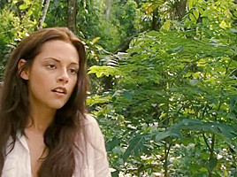 The Twilight Saga Breaking Dawn 1 (2011) Kristen Stewart