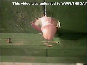 There was a gloryhole at the rodeo - VCA
