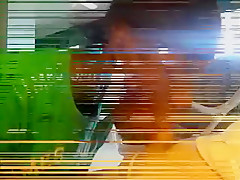 Tim Suck My Cock In Home Xicosgaystumblrcom