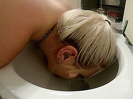Toilet Slut - PissVids