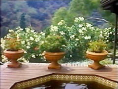 Traci Another Roll In The Hay (1985)
