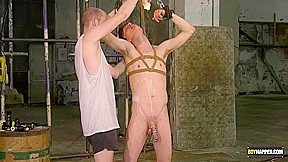 Twinky Plaything Properly Used - 1 - Alex Faux & Sean Taylor