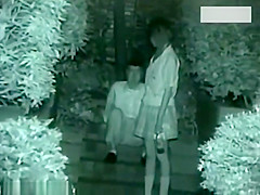 Two couples making love outside