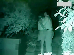 Two couples making love outside