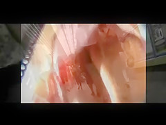 Upskirt In Public Transport BVR