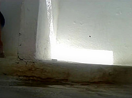 Woman uses Spycams for Women WC