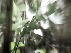 Woods 17