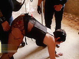 XTREMO BDSM