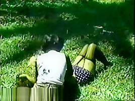 a few more asian catfight clips