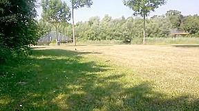 anal geil am see