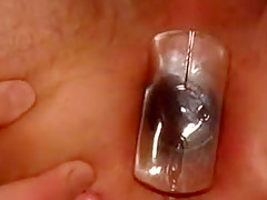 anal plug