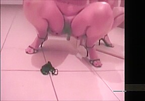 every wife needs obedience training