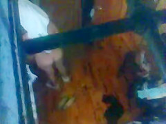 fisgon