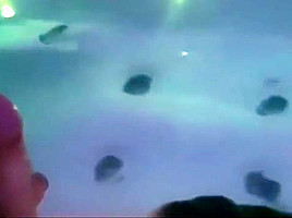hot busty brunette fucked in the pool