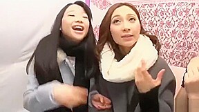 sino_329