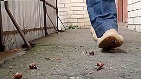 snail crush