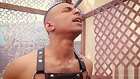 zario travez tops kinky bottom